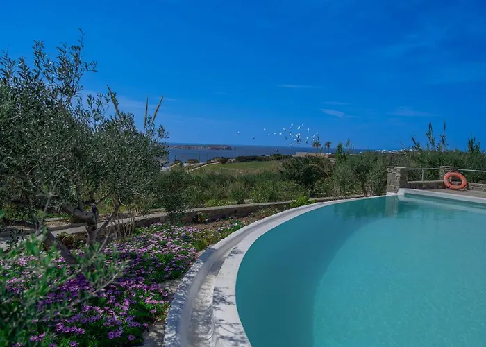 Anthemion Paros - & Villa