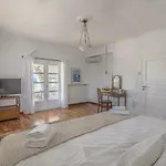 Anthemion Paros - & * Agia Irini (Paros)