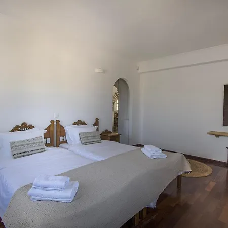 Anthemion Paros - Villas & Suites Villa *