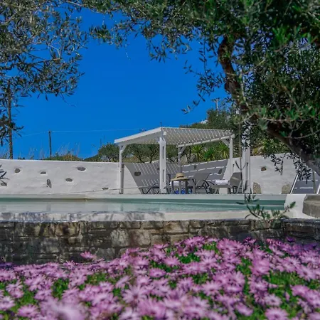 Villa Anthemion Paros - Villas & Suites Agia Irini (Paros)