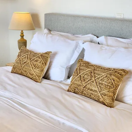 Anthemion Paros - & * Agia Irini (Paros)